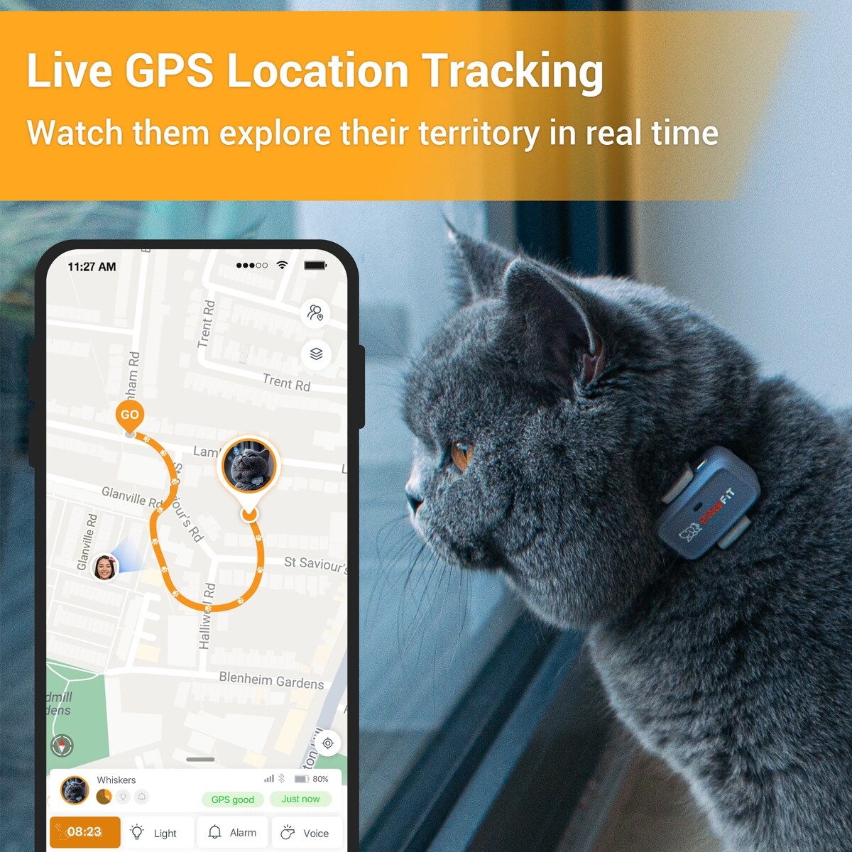 PAWFIT Lite Cat GPS Tracker, Simply White - Chewy.com