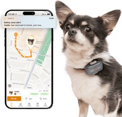 Pawfit Lite Dog GPS Tracker, Charcoal Grey slide 1 of 5