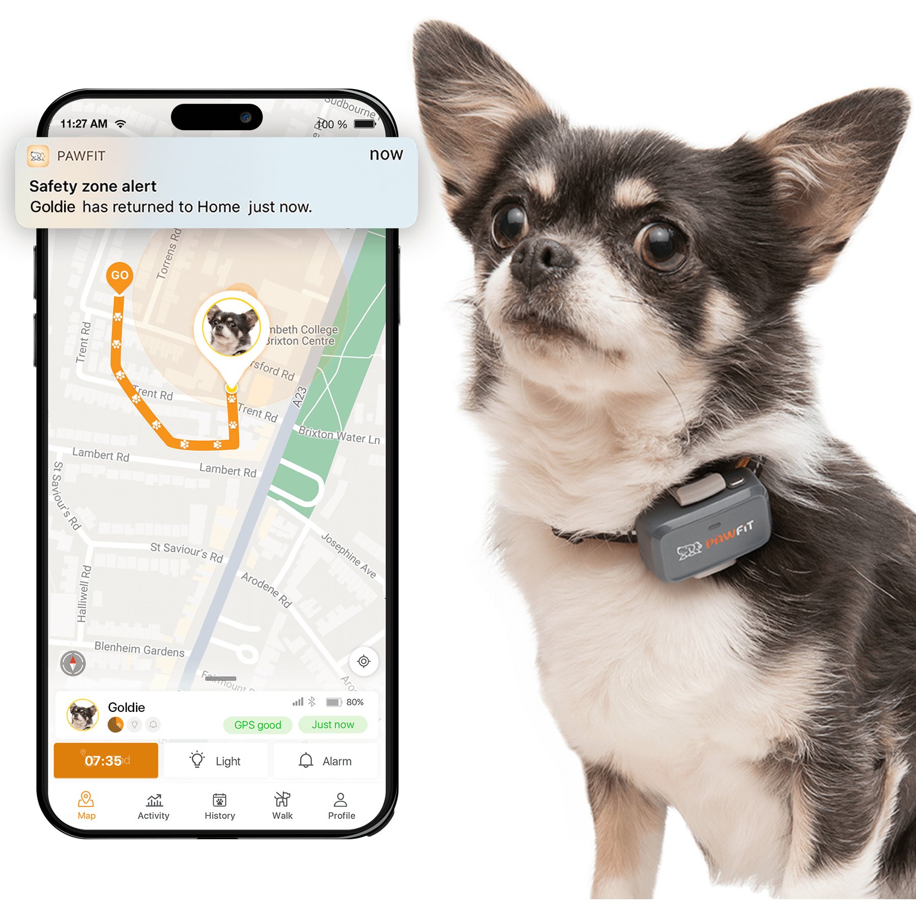 Pawfit Lite Dog GPS Tracker, Charcoal Grey