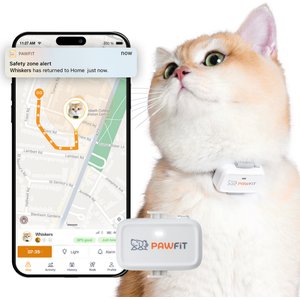 PAWFIT Lite Cat GPS Tracker, Simply White - Chewy.com PAWFIT Lite Cat GPS Tracker, Simply White - Chewy.com