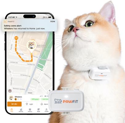Pawfit Lite for cats GPSトラッカー 069556bd-2e1e-762f-8000-