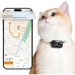 PAWFIT Lite Cat GPS Tracker, Onyx Black - Chewy.com