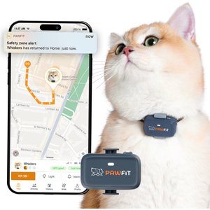 PAWFIT Lite Cat GPS Tracker, Charcoal Grey - Chewy.com