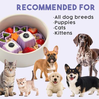 Show full view: Awoo Snackaroni Slow Feeder Dog Bowl Insert & Lick Mat, Lavender slide 7 of 9