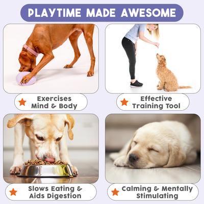 Show full view: Awoo Flying Saucer Treat Dispensing Dog Toy, Lilac, Small slide 6 of 8