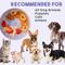 Show in main carousel: Awoo Wobbowl Silicone Dog & Cat Lick Mat Slow Feeder Bowl, Peri slide 8 of 11