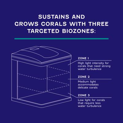 Show full view: Coralife LED BioCube Aquarium Kit, 16-gal slide 6 of 11