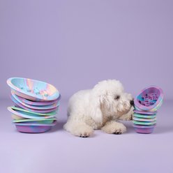 CHEWFFON Silicone Slow Feeder Non-Slip Enrichment Dog Lick Bowl, Rainbow, Large slide 2 of 7