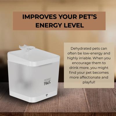Show full view: Penthouse Paws Smart Water Fountain Whisper-Quiet for Dog & Cat, White, 74-oz slide 6 of 12