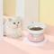 Show in main carousel: Fairela MiaoFairy Blossom Ceramic Elevated Dog & Cat Bowl, Small: 2-cup, Pink slide 5 of 10