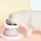 Show in main carousel: Fairela MiaoFairy Blossom Ceramic Elevated Dog & Cat Bowl, Small: 2-cup, Pink slide 3 of 10