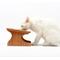 Show in main carousel: Fairela Bamboo & Wood Double Ceramic Elevated Dog & Cat Bowl, Medium: 4-cup slide 4 of 10