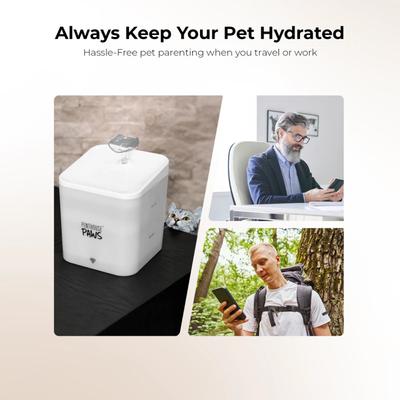 Show full view: Penthouse Paws Smart Water Fountain Whisper-Quiet for Dog & Cat, White, 74-oz slide 8 of 12