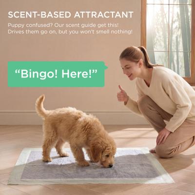 Show full view: Bedsure Odor-Control Super Absorbent & Leak Proof Disposable Dog Pee Pads, X-Large: 28 x 34-in, 52 count slide 8 of 10