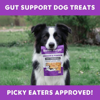 Show full view: Vitafur Barkin Burger Chicken & Pumpkin Grain-Free Dehydrated Dog Treats, 5-oz bag slide 5 of 6