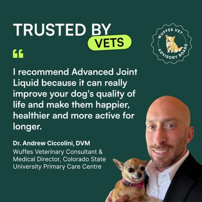 Show full view: Wuffes Advanced Beef Flavored Liquid Hip & Joint Support Supplement for Small & Large Dogs, 16-fl oz bottle slide 3 of 10