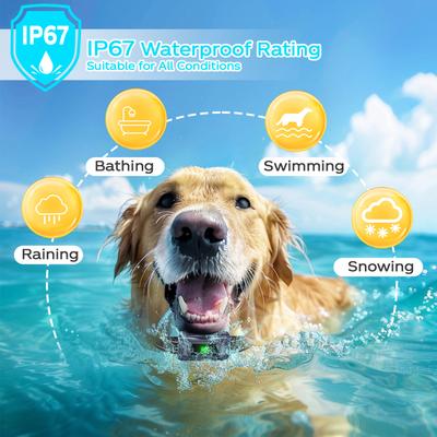 Show full view: GroovyPets 1400 Yards Remote Dog Training Collar with Full Color LCD Display, Dark Blue slide 5 of 9