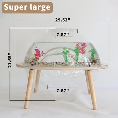 Show full view: WAOWAO Interactive Orbit Covered Cat Fish Tank with Internal Tunnel & Removable Cover, Transparent, Large slide 5 of 10