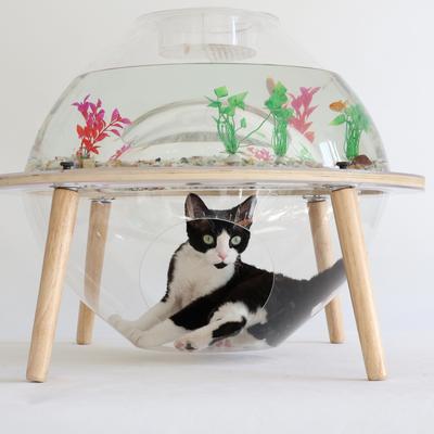 Show full view: WAOWAO Interactive Orbit Covered Cat Fish Tank with Internal Tunnel & Removable Cover, Transparent, Large slide 3 of 10