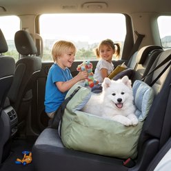 BingoPaw Portable Travel-Safe Dog Car Booster Seat Bed with Shoulder Strap & Handle, Storage Pockets, Medium, Green