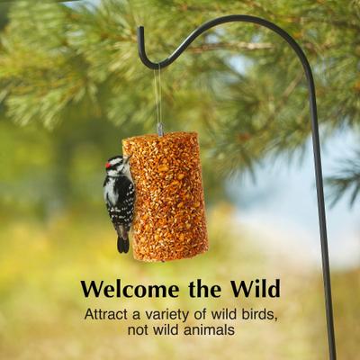 Show full view: C&S Ready-to-Use Hot Pepper Seed Cylinder Wild Bird Food, 1.76-lb, 2 count slide 4 of 10