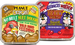 C&S Peanut Delight Dough & Berry Treat Suet Wild Bird Food, 24 count