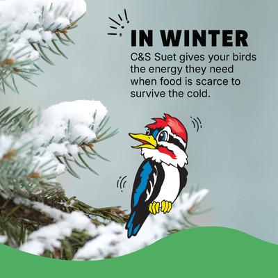 Show full view: C&S Woodpecker Suet Nuggets Wild Bird Food, 8-lb box slide 4 of 11