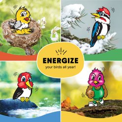 C&S Woodpecker Suet Nuggets Wild Bird Food, 8-lb box slide 2 of 8