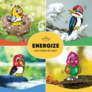 C&S Peanut Delight No Melt Suet Dough Wild Bird Food, 11.75-oz tray, case of 8