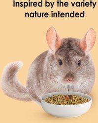 Kaytee Food From the Wild Chinchilla Food, 3-lb bag slide 2 of 8