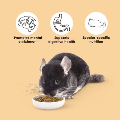 Show full view: Kaytee Food From the Wild Chinchilla Food, 3-lb bag slide 4 of 9