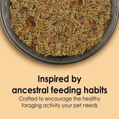 Show full view: Kaytee Food From the Wild Chinchilla Food, 3-lb bag slide 2 of 9