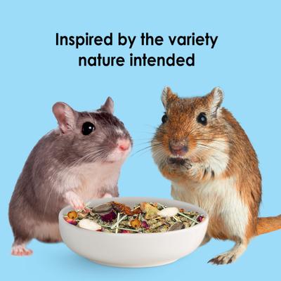 Show full view: Kaytee Food From the Wild Hamster Food, 2-lb bag slide 7 of 12