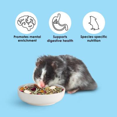 Show full view: Kaytee Food From the Wild Hamster Food, 2-lb bag slide 4 of 12