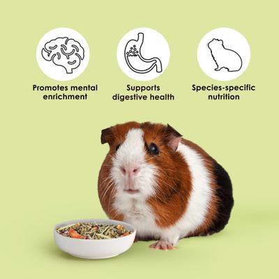 Show full view: Kaytee Food From the Wild Guinea Pig Food, 4-lb bag slide 4 of 11