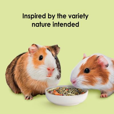 Show full view: Kaytee Food From the Wild Guinea Pig Food, 4-lb bag slide 7 of 11