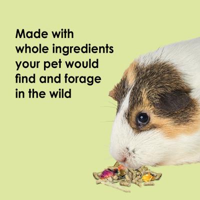 Show full view: Kaytee Food From the Wild Guinea Pig Food, 4-lb bag slide 3 of 11