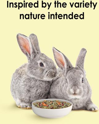 Wild Rabbit Food. Amazon KAYTEE Food From the Wild Rabbit Food, 4-lb bag - Chewy.com