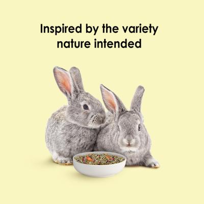 Show full view: Kaytee Food From the Wild Rabbit Food, 4-lb bag slide 7 of 12