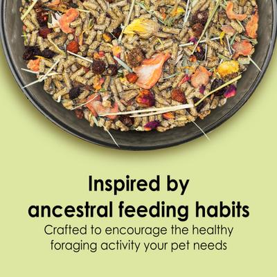 Show full view: Kaytee Food From the Wild Guinea Pig Food, 4-lb bag slide 2 of 11