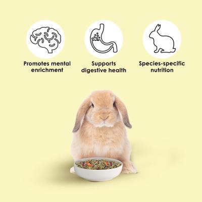 Show full view: Kaytee Food From the Wild Rabbit Food, 4-lb bag slide 4 of 12