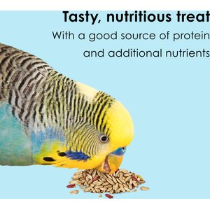 Kaytee Forti-Diet Pro Health Oat Groats Bird Treats, 11-oz jar