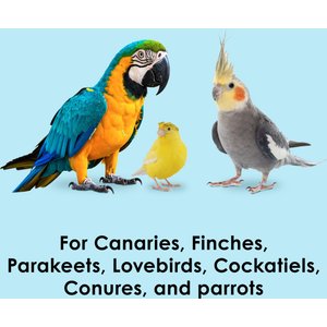 Kaytee Forti-Diet Pro Health Oat Groats Bird Treats, 11-oz jar