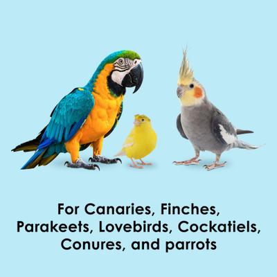 Show full view: Kaytee Forti-Diet Pro Health Oat Groats Bird Treats, 11-oz jar slide 3 of 9