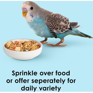 Kaytee Forti-Diet Pro Health Oat Groats Bird Treats, 11-oz jar