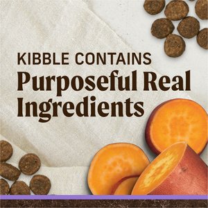Merrick Grain-Free Dry Puppy Food Real Beef & Sweet Potato Recipe, 22-lb bag