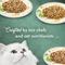 Show in main carousel: Fancy Feast Medleys Florentine Collection Pack Canned Cat Food, 3-oz, case of 12 slide 9 of 12