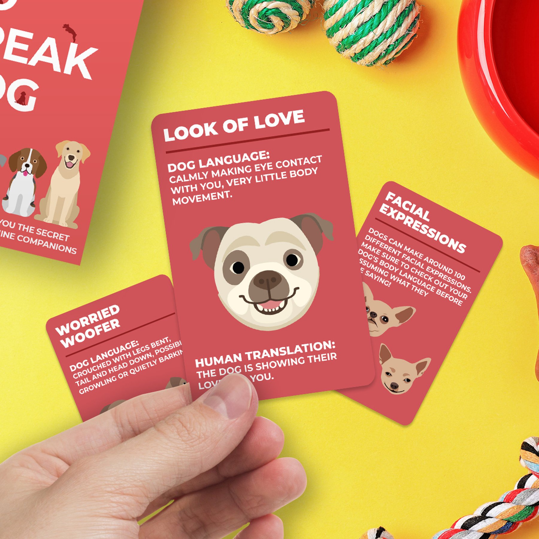 Gift Republic How To Speak Dog Card Pack