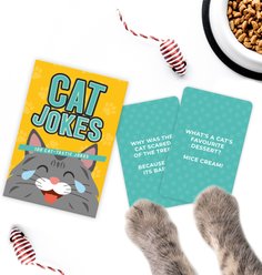 Gift Republic Cat Jokes Card Pack