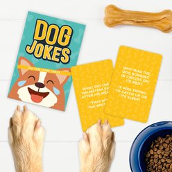 Gift Republic Dog Jokes Card Pack